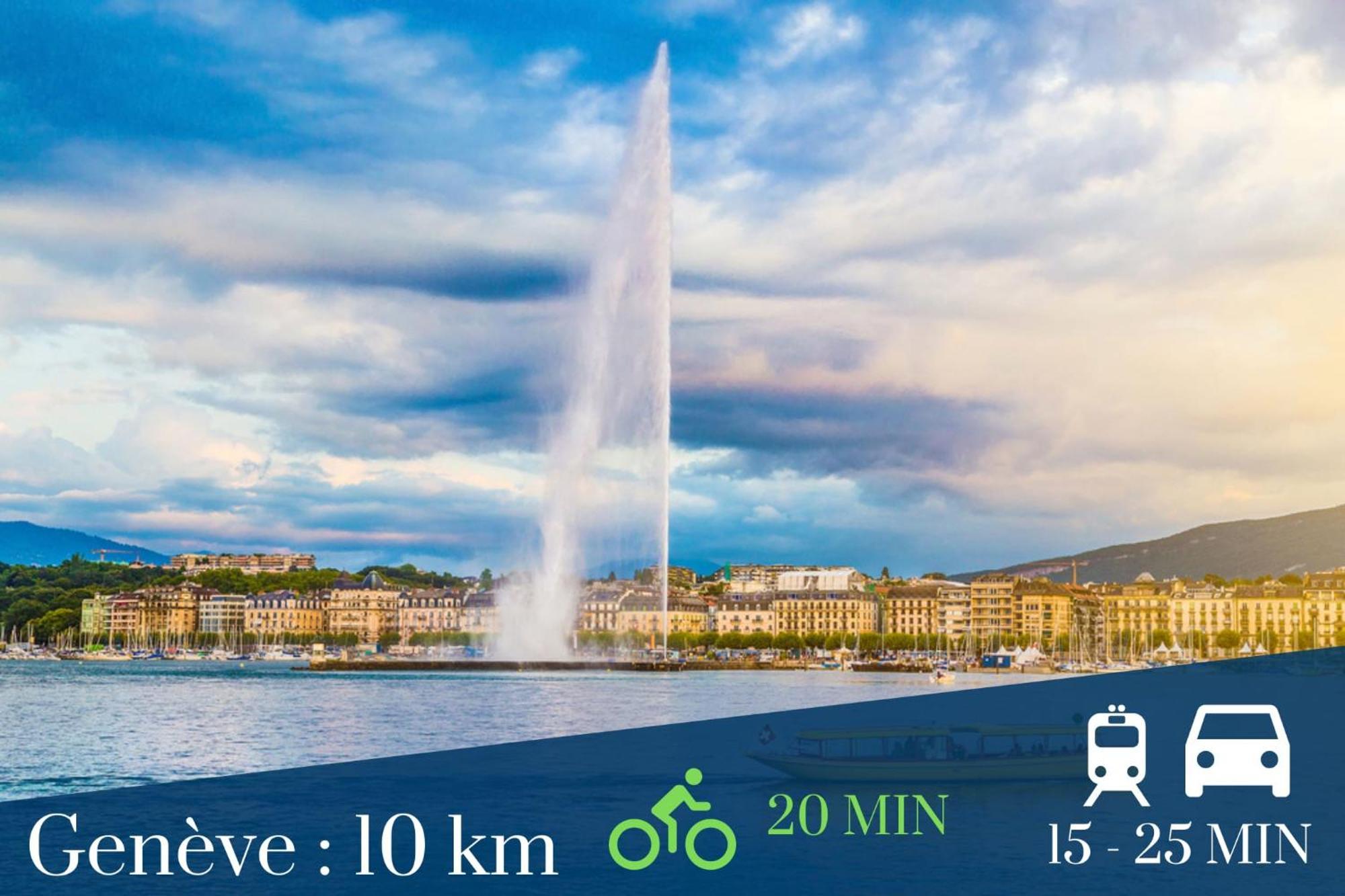 Homey Wild - Proche Gare Et Tram - Proche Centre - Balcon Prive - Parking Prive - Wifi Gratuit Annemasse Εξωτερικό φωτογραφία