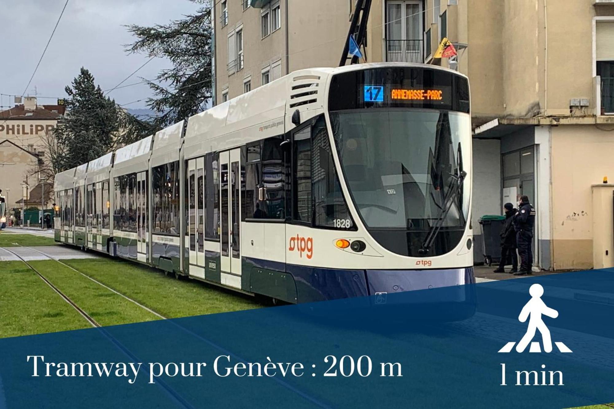Homey Wild - Proche Gare Et Tram - Proche Centre - Balcon Prive - Parking Prive - Wifi Gratuit Annemasse Εξωτερικό φωτογραφία